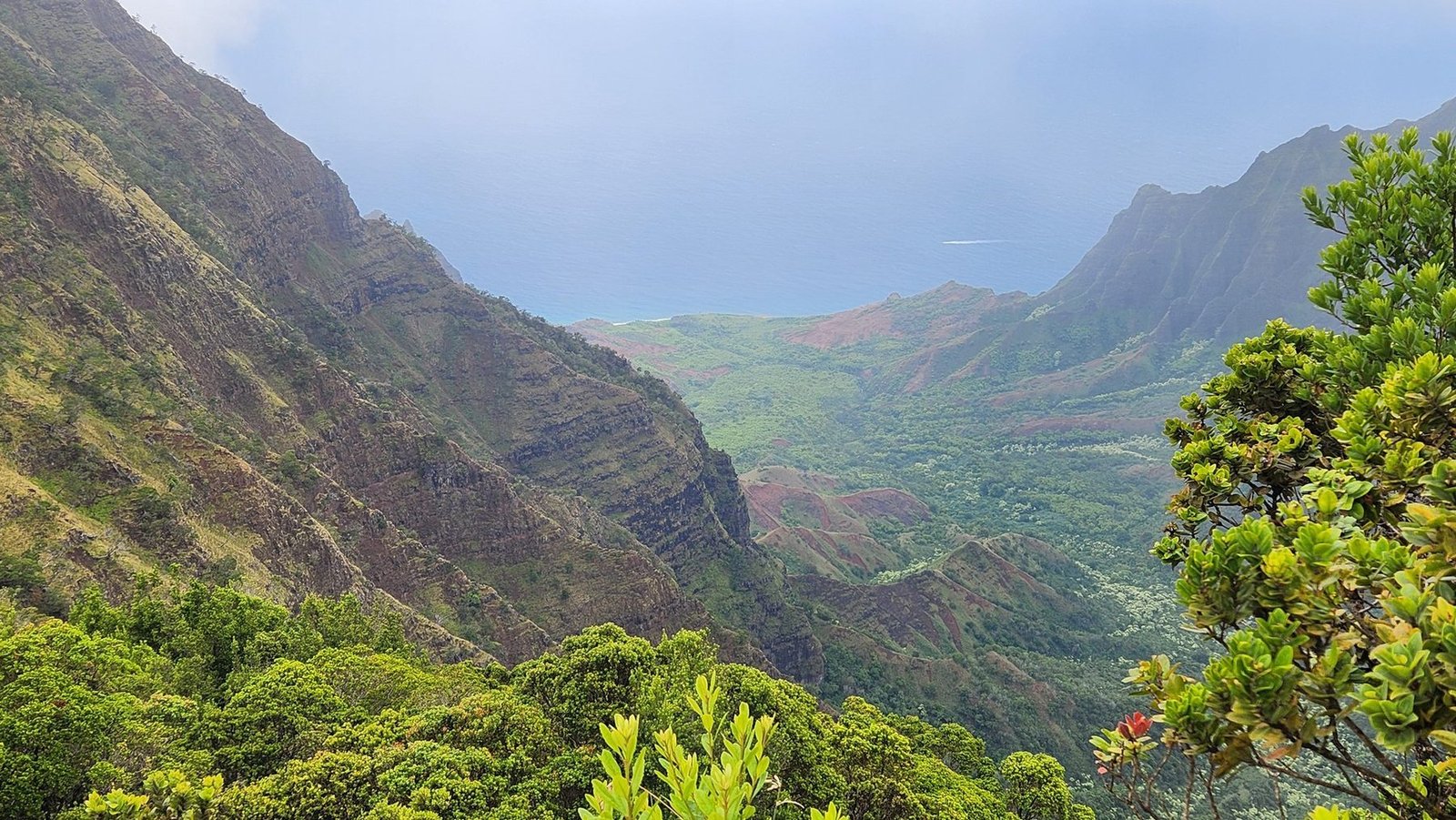 Jul 27 · 9:52 AM — Waimea Canyon and Kōkeʻe